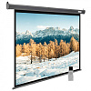 Экран Cactus 188x300см SIlverMotoExpert CS-PSSME-300X188-DG 16:10 настенно-потолочный рулонный тёмно-серый (моторизованный привод)