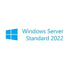 Windows P73-08468 Svr Std 2022 Russian 1pkDSP OEI 16CrNoMedia/NoKey(POSOnly)AddLic