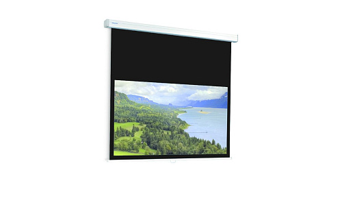 [10200115] Экран Projecta ProScreen 182х220 см (95") (раб.область 118х210 см), Matte White (белый корпуc) для домашнего кинотеатра, верх. черная кайма