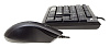 Клавиатура + мышь Oklick 620M черный USB [475652]
