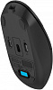 Мышь A4Tech Fstyler FG16C Air черный оптическая (2000dpi) беспроводная USB для ноутбука (3but)