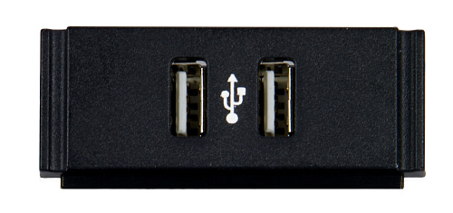 Двойной USB-модуль [FG553-12] AMX HPX-N102-USB с печатным символом USB для подключения HydraPort HPX-600,900,1200