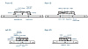CV-W124R/P1101-E50