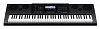 Синтезатор Casio WK-6600 76клав. черный