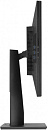 Монитор Asus 32" ProArt PA329C черный IPS LED 16:9 HDMI M/M матовая 600cd 178гр/178гр 3840x2160 DisplayPort Ultra HD USB 12.32кг