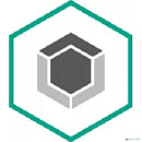 Лицензия для ООО "Торговый Дом "Москворецкий" [KL4863RAQFR-70шт]