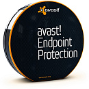 avast! Endpoint Protection, 1 год (от 1 до 4 пользователей) для мед/госучреждений