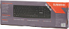 Клавиатура SunWind SW-KB100 черный USB
