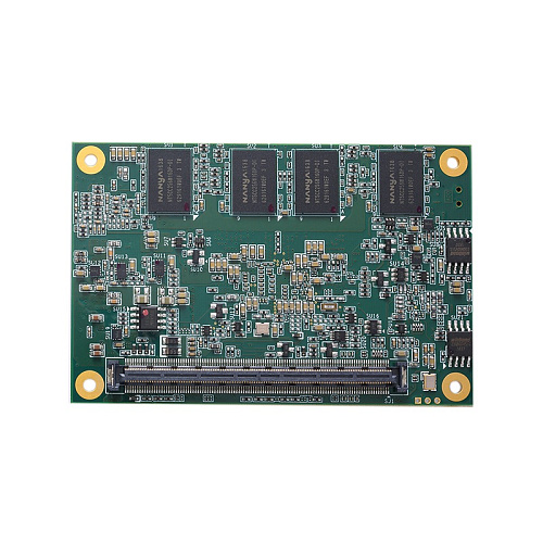 CEM310PG-E3930+4GB