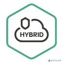 KL4155RATFR Kaspersky Security для виртуальных и облачных сред, Desktop Russian Edition. 250-499 VirtualWorkstation 1 year Renewal License