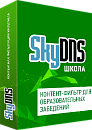 SkyDNS Школа. 60 лицензий на 1 год