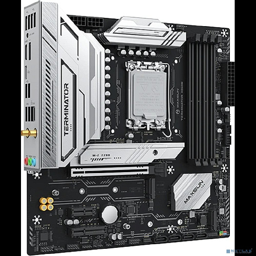 MAXSUN MS-Terminator B860M WIFI DEMO