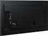 Панель Samsung 55" QB55B черный VA LED 8ms 16:9 DVI HDMI M/M матовая 350cd 178гр/178гр 3840x2160 DP RCA 4K USB 18.1кг (RUS)