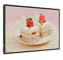 ЖК-панель Exell EXPD-DA55AH5 43"