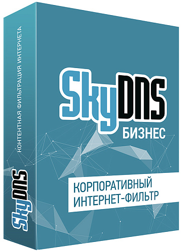 SkyDNS Бизнес. 15 лицензий на 1 год