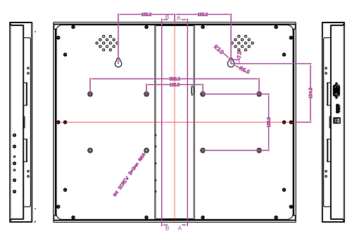 R19L300-STM1/GS