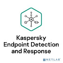 KL4708RATDS Kaspersky EDR для бизнеса - Оптимальный 250-499 users Base License 2 year