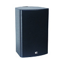 TS-610 профессиональный двухполосный громкоговоритель, 10", 300W@8Ω, черный