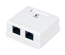 Розетка компьютерная RJ-45(8P8C), категория 6, двойная Cabeus WS-8P8C-Cat.6-2 Розетка компьютерная RJ-45(8P8C), категория 6, двойная, внешняя, Dual ID