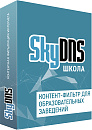 SkyDNS Школа. 500 лицензий на 1 год