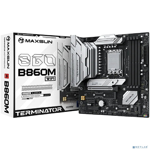 MAXSUN MS-Terminator B860M WIFI DEMO