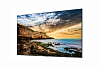 професиональный дисплей Samsung 85" QE85T