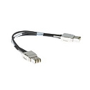 STACK-T1-50CM= 50CM Type 1 Stacking Cable