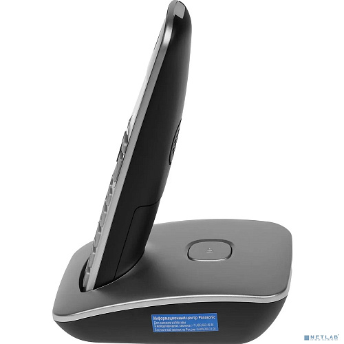 Panasonic DECT KX-TGE510RUS