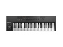MIDI клавиатура [25237] Native Instruments [KOMPLETE KONTROL A49] 49 клавиш, полувзвешенная, 8 ручек управления, колеса высоты тона и модуляции, 4-поз