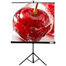 Viewscreen Clamp TCL-1103 Экран мобильный (1:1) 200*200 (200*200) MW