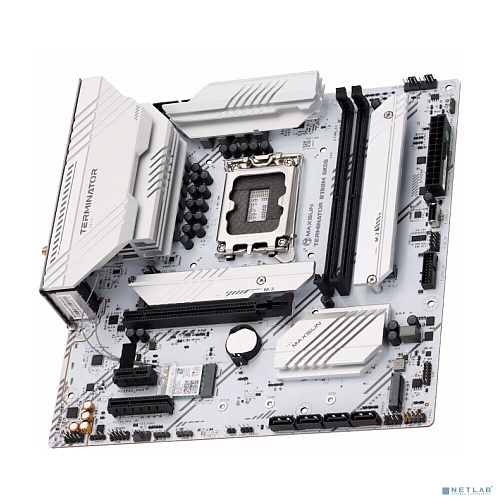 MAXSUN MS-Terminator B760M GKD5 ICE