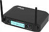 Радиосистема Ritmix RWM-222 черный