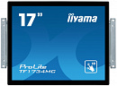 Монитор Iiyama 17" TF1734MC-B6X черный TN LED 5ms 5:4 DVI HDMI матовая 1000:1 350cd 170гр/160гр 1280x1024 D-Sub DisplayPort HD READY USB Touch 3.6кг