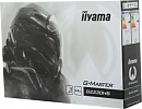 Монитор Iiyama 21.5" G-Master G2230HS-B1 черный TN LED 16:9 HDMI M/M матовая 250cd 170гр/160гр 1920x1080 75Hz FreeSync VGA DP FHD 3.1кг