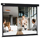 Экран Cactus Wallscreen CS-PSW-168X299-BK, 299х168 см, 16:9, настенно-потолочный черный