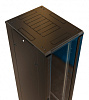 Шкаф серверный WRline (WR-TT-4261-AS-RAL9004) напольный 42U 600x1000мм пер.дв.стекл задн.дв.стал.лист 2 бок.пан. 800кг черный 910мм 2055мм IP20 сталь
