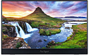 Монитор Aopen 15.6" 16PM6Qbmiux черный IPS LED 16:9 M/M матовая 250cd 170гр/170гр 1920x1080 USB