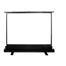 Экран Cactus 102x180 FloorExpert CS-PSFLE-180X102 16:9 напольный рулонный