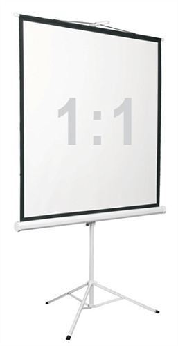 Экран на штативе Digis DSKD-1104, формат 1:1, 96" (178x181), MW, Kontur-D