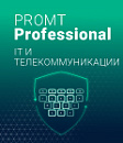 PROMT Professional 20 Многоязычный, IT и телекоммуникации