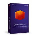 SOUND FORGE Pro 13 - ESD
