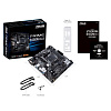Материнская плата ASUS PRIME B450M-K II AM4 mATX 2xDDR4 PCI-Ex16 2xPCI-Ex1 M.2 HDMI DVI VGA GLAN