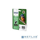 EPSON C13T15904010 Картридж T1590 для Stylus Photo R2000 (gloss) (cons ink)