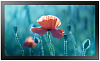 ЖК панель Samsung QB13R-T, Проф.панель, 13", 16/7, FHD, 250 нит, сенсорный экран