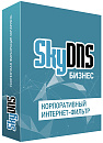 SkyDNS Бизнес. 90 лицензий на 1 год