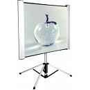 Экран Cactus 102x180см TriAlExpert CS-PSTALE-180X102 16:9 напольный рулонный