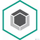 Лицензия для ООО"Скандипакк" [KL4867RATFR-250шт]