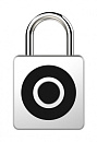 Умный замок Digma SmartLock C1 навесной разбл.отпеч.паль. 100mAh титановый (SRC1)