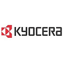 Kyocera-Mita DK-3130 Блок фотобарабана {FS-4100DN, FS-4200DN, FS-4300DN, (500 000 стр)}