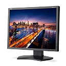 NEC 21'' P212-BK LCD Bk/Bk (24/7; IPS; 4:3; 440cd/m2; 1500:1; 8ms; 1600x1200; 178/178; D-sub; DVI-D; HDMI; DP; USB; HAS 150 mm; Swiv 45/45; Tilt; Piv